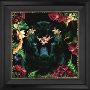 Black Panter - Fine Art