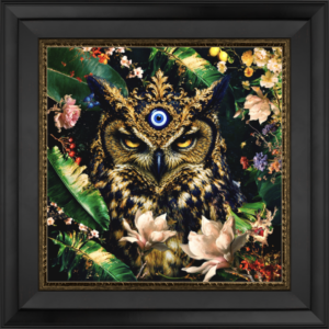 Owl - Fine Art
