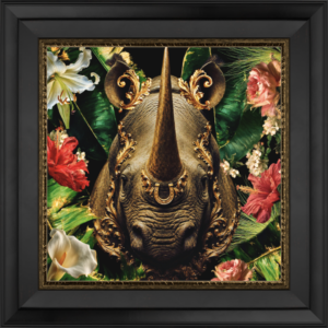 Rhino - Fine Art