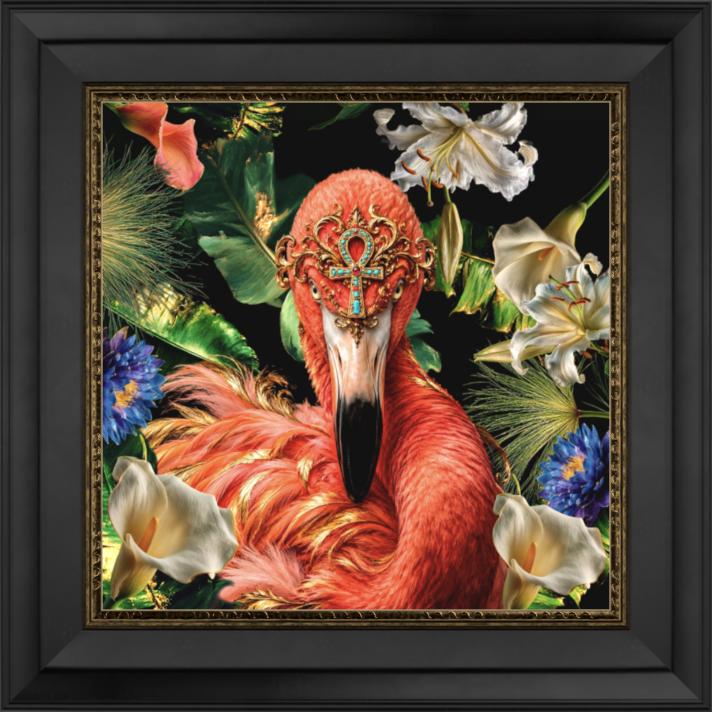 Flamingo - Fine Art